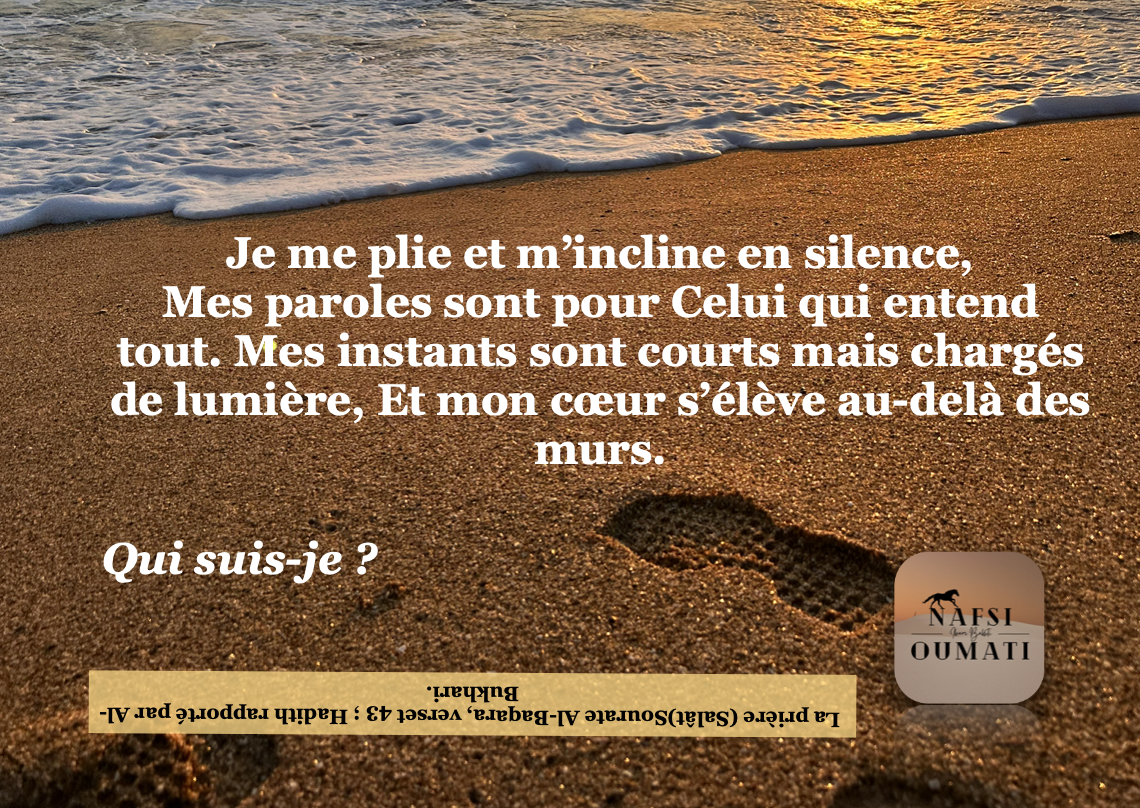 𝐉𝐞𝐮𝐱 𝐝𝐞 𝐜𝐚𝐫𝐭𝐞𝐬 𝐐𝐮𝐢 𝐬𝐮𝐢𝐬-𝐣𝐞 ?