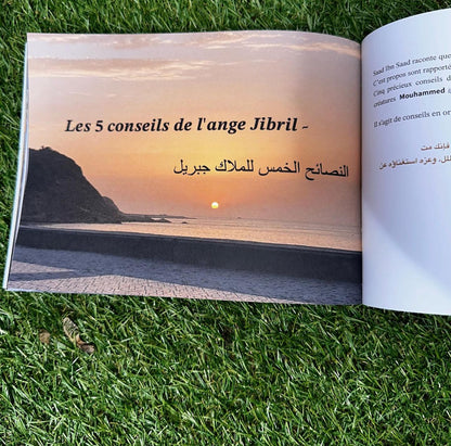 𝐋𝐞𝐬 𝟏𝟎 𝐚𝐧𝐠𝐞𝐬 𝐥𝐞𝐬 𝐩𝐥𝐮𝐬 𝐜𝐨𝐧𝐧𝐮𝐬 𝐞𝐭 𝐥𝐞𝐮𝐫𝐬 𝐫𝐨̂𝐥𝐞𝐬.