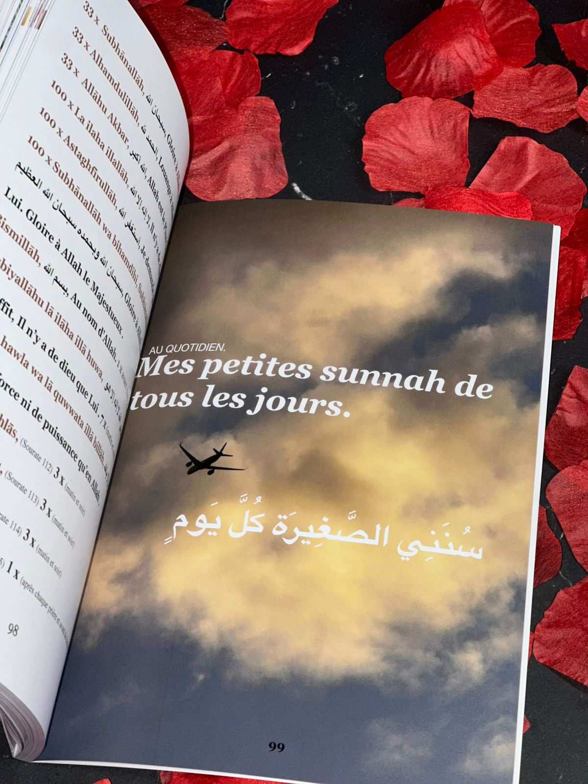 𝐏𝐨𝐮𝐫 𝐠𝐚𝐫𝐝𝐞𝐫 𝐦𝐨𝐧 𝐚̂𝐦𝐞 𝐝𝐚𝐧𝐬 𝐥𝐞 𝐛𝐢𝐞𝐧, 𝐣𝐞 𝐫𝐞𝐬𝐭𝐞 𝐟𝐢𝐝𝐞̀𝐥𝐞 𝐚̀ 𝐦𝐨𝐧 𝐪𝐮𝐨𝐭𝐢𝐝𝐢𝐞𝐧.