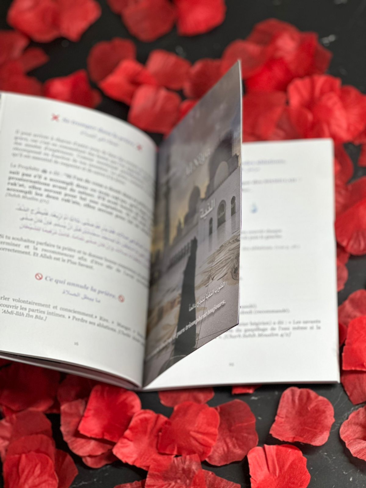 𝐏𝐨𝐮𝐫 𝐩𝐫𝐞𝐧𝐝𝐫𝐞 𝐬𝐨𝐢𝐧 𝐝𝐞 𝐦𝐨𝐢, 𝐣𝐞 𝐝𝐨𝐢𝐬 𝐩𝐫𝐞𝐧𝐝𝐫𝐞 𝐬𝐨𝐢𝐧 𝐝𝐞 𝐦𝐚 𝐩𝐫𝐢𝐞̀𝐫𝐞.