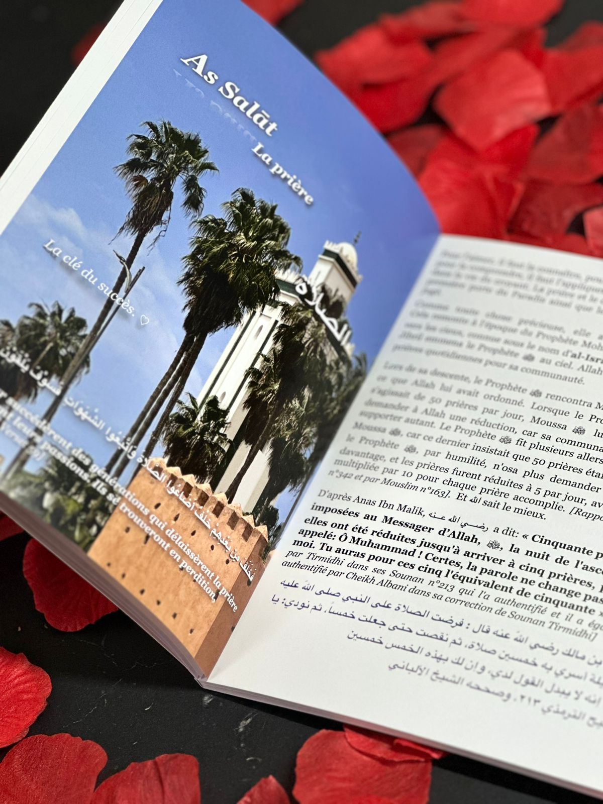 𝐏𝐨𝐮𝐫 𝐩𝐫𝐞𝐧𝐝𝐫𝐞 𝐬𝐨𝐢𝐧 𝐝𝐞 𝐦𝐨𝐢, 𝐣𝐞 𝐝𝐨𝐢𝐬 𝐩𝐫𝐞𝐧𝐝𝐫𝐞 𝐬𝐨𝐢𝐧 𝐝𝐞 𝐦𝐚 𝐩𝐫𝐢𝐞̀𝐫𝐞.