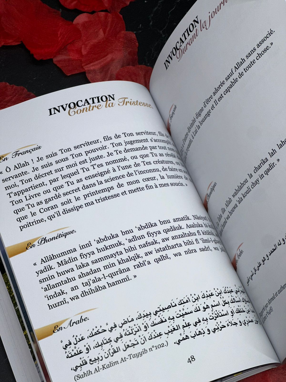 𝐏𝐨𝐮𝐫 𝐠𝐚𝐫𝐝𝐞𝐫 𝐦𝐨𝐧 𝐚̂𝐦𝐞 𝐝𝐚𝐧𝐬 𝐥𝐞 𝐛𝐢𝐞𝐧, 𝐣𝐞 𝐫𝐞𝐬𝐭𝐞 𝐟𝐢𝐝𝐞̀𝐥𝐞 𝐚̀ 𝐦𝐨𝐧 𝐪𝐮𝐨𝐭𝐢𝐝𝐢𝐞𝐧.