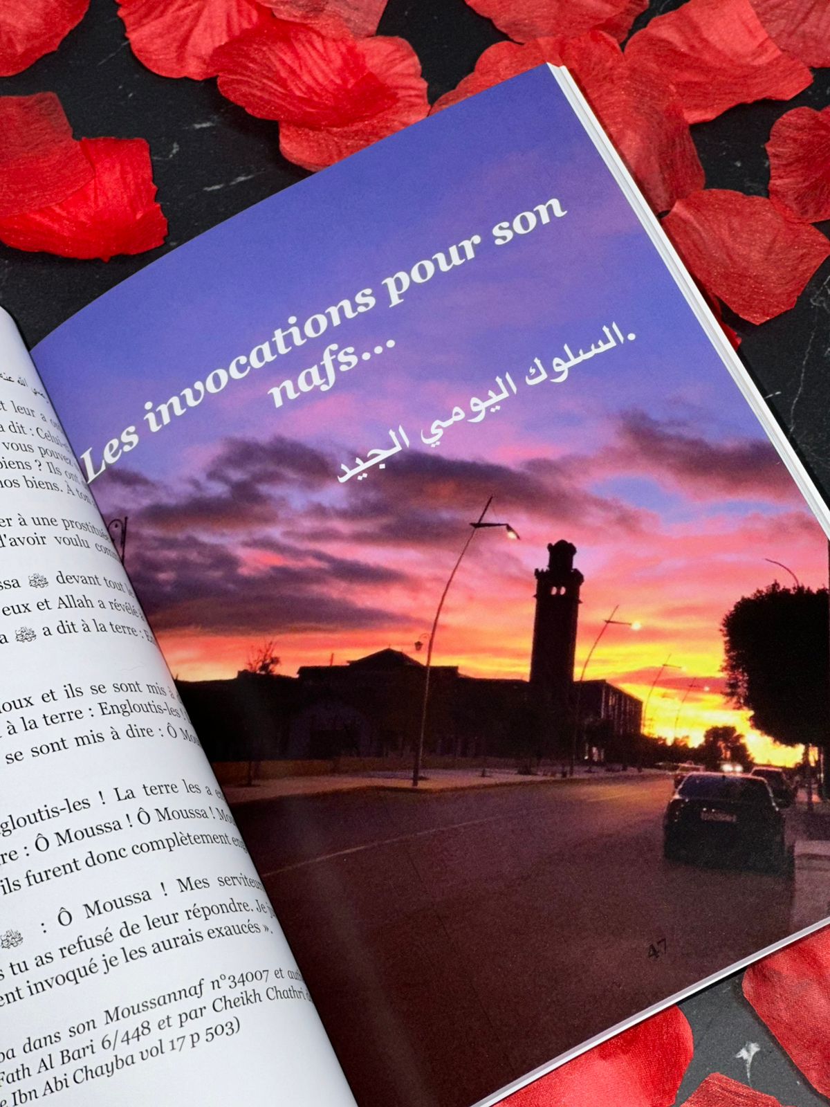 𝐏𝐨𝐮𝐫 𝐠𝐚𝐫𝐝𝐞𝐫 𝐦𝐨𝐧 𝐚̂𝐦𝐞 𝐝𝐚𝐧𝐬 𝐥𝐞 𝐛𝐢𝐞𝐧, 𝐣𝐞 𝐫𝐞𝐬𝐭𝐞 𝐟𝐢𝐝𝐞̀𝐥𝐞 𝐚̀ 𝐦𝐨𝐧 𝐪𝐮𝐨𝐭𝐢𝐝𝐢𝐞𝐧.